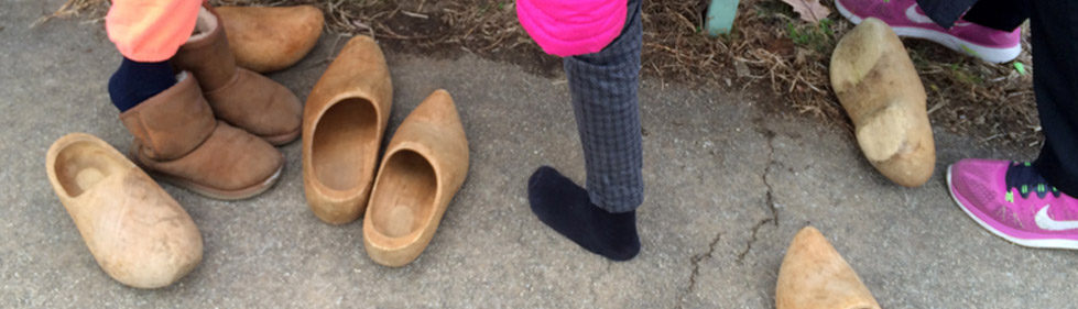 Banner Image: School Programs