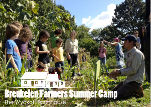 Promotional postcard for Breukelen Farmers Summer Camp, 2013