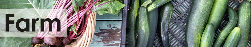Banner Image for Farm Programs