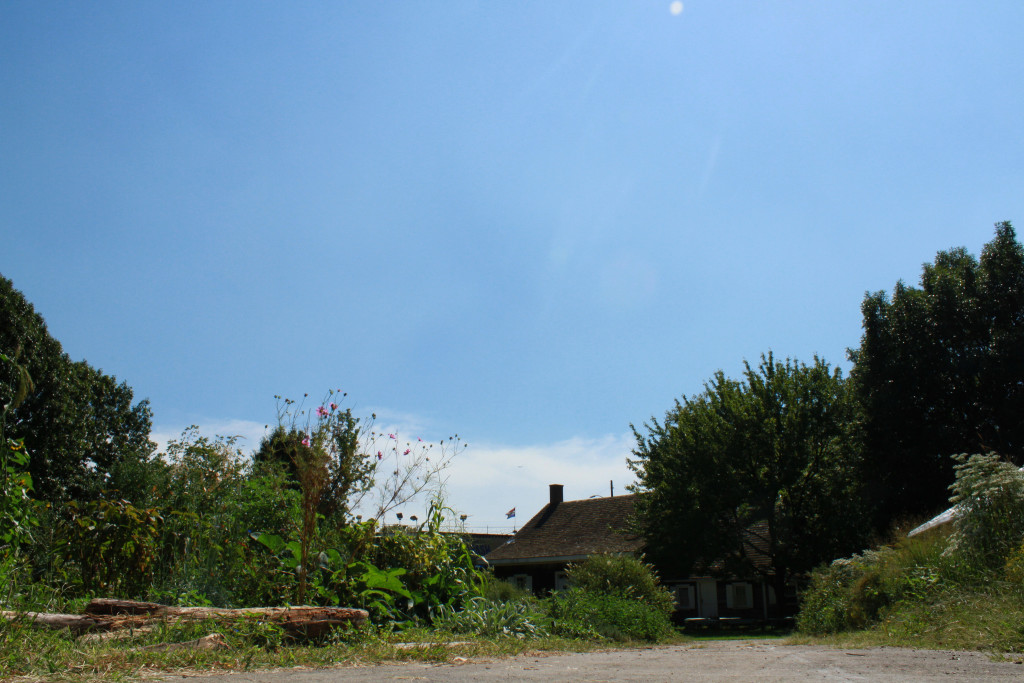 Wyckoff Farmhouse Museum